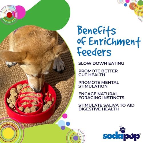 SodaPup Santa Enrichment Bowl – Durable Slow Feeder Bowl Made in USA from Non-Toxic, Pet-Safe, Food Safe Material for Mental Stimulation, Slowing Down Eating, Healthy Digestion, & More - Image 4