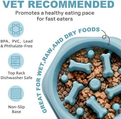 Slow Feeder Dog Bowls Anti Gulping Reduces Gastric Burden Prevents Bloat and Digestive Issues Safe Durable Material Easy to Clean Puppy Slow Feeder Bowl for Healthy Eating Excess Energy Management - Image 3
