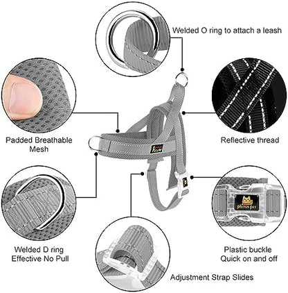Plutus Pet No Pull Dog Harness for Puppy Small Dogs, Breathable Mesh Padded - Image 2