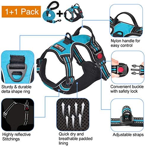 tobeDRI No Pull Dog Harness Adjustable Reflective Oxford Easy Control Medium Large Dog Harness with A Free Heavy Duty 5ft Dog Leash, Blue, M - Image 3