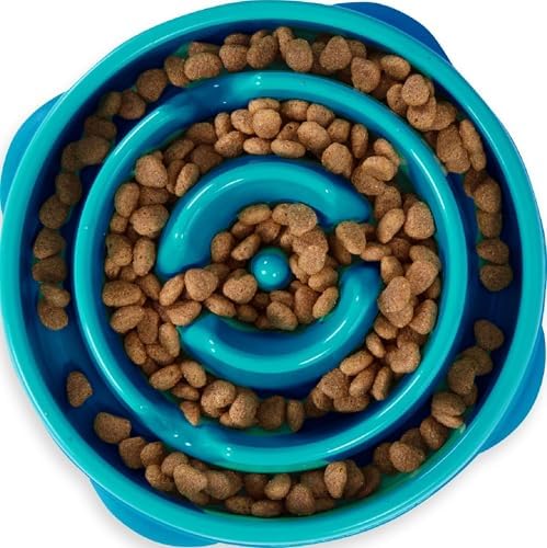 Outward Hound Fun Feeder Slo Bowl – Medium 2‑Cup Capacity, Slow Feeding, Small to Medium Dogs & Cats, Non-Slip, Turquoise, Drop Pattern by OutwardHound