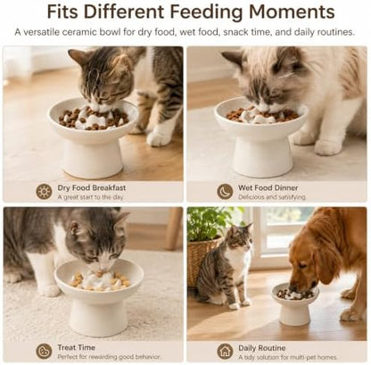 Ceramic Elevated Cat Slow Feeder Bowl, 6 Inch Shallow Wide Dish, 12oz Anti‑Vomiting Cat Food Bowl for Dry & Wet Food, Anti‑Slip Pet Feeding Bowl, White - Image 4