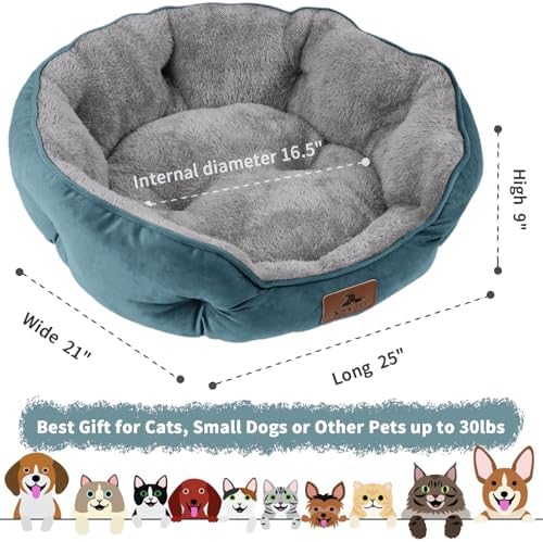 Asvin Medium Dog Bed for Medium Dogs, Cat Beds for Indoor Cats, Pet Bed for Puppy and Kitty, Extra Soft & Machine Washable with Anti-Slip & Water-Resistant Oxford Bottom, Teal, 25 inches - Image 3