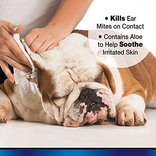 Aloe Ear Mite Treatment For Dogs - Image 5