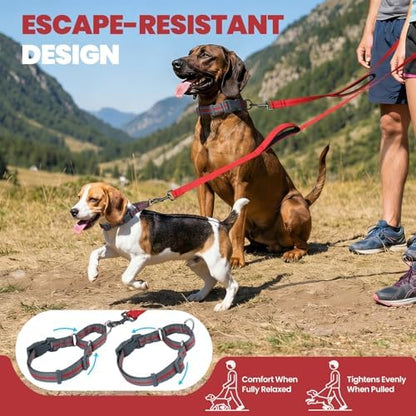 VIVAGLORY Double Handle Dog Leash Twingrip, 5ft x 1in, L, Red Grey - Image 2