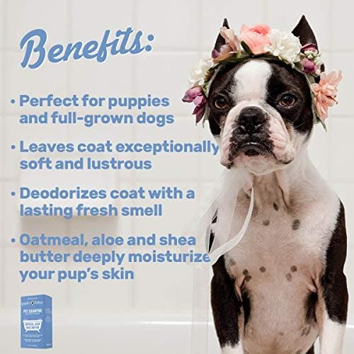OLIVER'S CHOICE Dog Shampoo with Oatmeal, Aloe & Shea Butter – Deodorizing Puppy Shampoo for Smelly Dogs, Itchy Skin Relief, Paraben-Free, Biodegradable, Cruelty Free – 14 fl. oz - Image 2