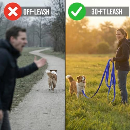 Dog Training Kit & Puppy Starter Set with 30ft Long Leash – Complete Recall System w/Magnetic Treat Pouch, Clicker, Collapsible Bowl & Waste Bags – Professional Tools (Navy Blue) - Image 4