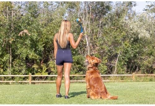 Chuckit! Dog Ball Launcher 12M Sport, Plastic, Great for Kids - Image 2