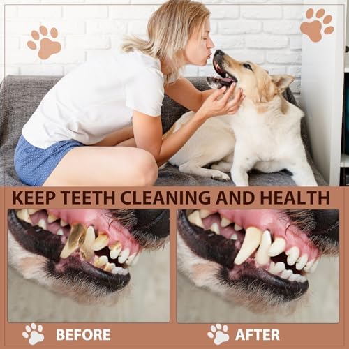 Letsmeet Squeaky Dog Toy with Crinkle Paper, Pull Interactive Plush Chew Toy for Puppies, Small, Medium, Large Dogs - Great for Tug of War and Teeth Cleaning - Image 3