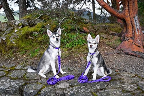 EcoBark Reflective Dog Leash with Padded Handle, Soft Purple, Durable - Image 3