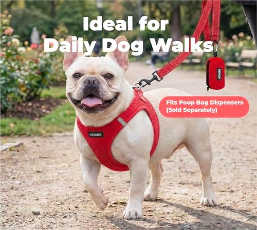 Best Pet Supplies Voyager Nylon Dog Leash - Red, Medium - Image 3