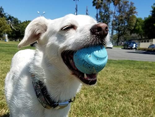 Chuckit Gen 1 Fetch Pack Dog Balls - Interactive Dog Toys, High-Bounce Fetch Ball, Floating Ultra and Rugged Balls, Durable - Size Medium, 2.5-inch Diameter, Set of 3 - Image 6
