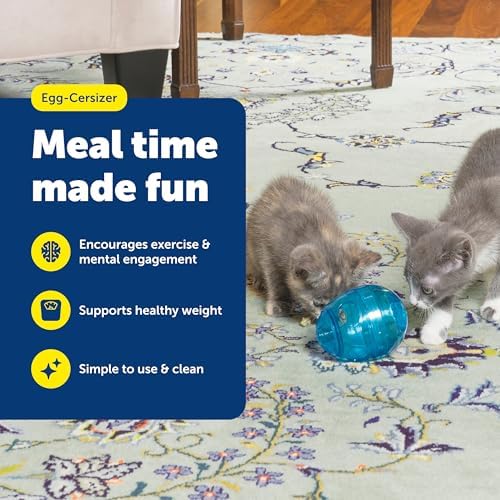 PetSafe Egg-Cersizer Interactive Cat Slow Feeder Toy - Image 2