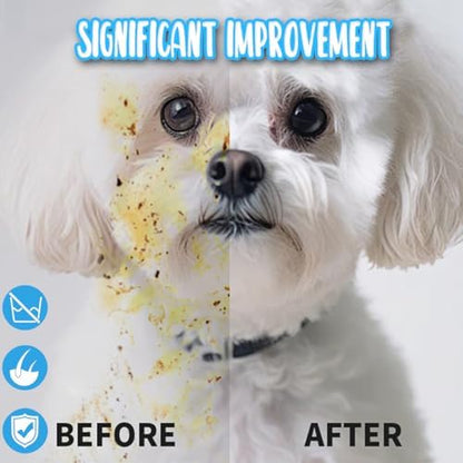 Dog and Cat Cleaning Gloves, Cleaning and Deodorizing Grooming Gloves, Dog and Cat Fur Face, Ears, Eyes, Paws Cleaner, Pet Grooming Wipes, Nourishing Fur, for Daily Care and Travel, No Rinse (12 Pcs) - Image 6