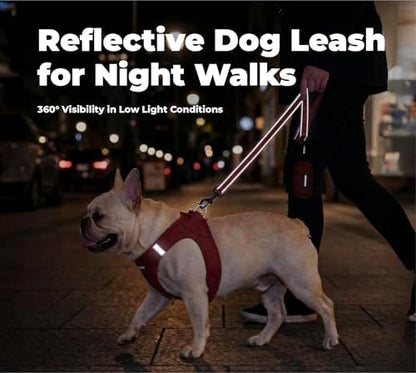 Best Pet Supplies Voyager Nylon Dog Leash - Red, Medium - Image 4