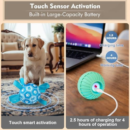 Interactive Dog Toys Dog Soccer Ball to Keep Them Busy(Blue) - Image 3