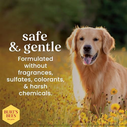 Burts Bees for Pets Honey Multipurpose Dog Grooming Wipes, 50 Count, 6-Pack - Image 3
