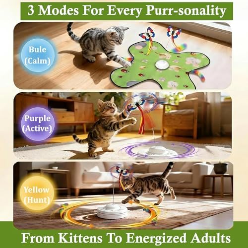Interactive Cat Toys for Kitten & Adult Cats 3-in-1 Touch Activated - Image 4