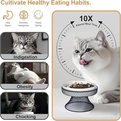 2PCS Raised Ceramic Cat Slow Feeder Bowl Elevated Food Bowl with Stand, Cat Slow Bowl for Wet Food and Dry Food,Slow Down Eating Speed, Whisker Friendly Pet Puzzle Feeder for Kitten and Small Dog - Image 2