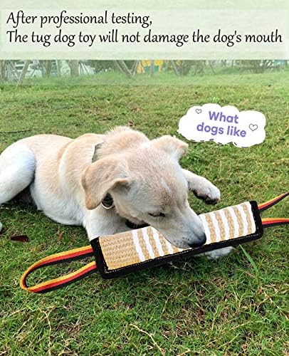 Clysoru Dog Tug Toy Tough Jute Bite Pillow Lasting Training Equipment Puppy to Large Dogs Interactive for Large and Small - Image 7