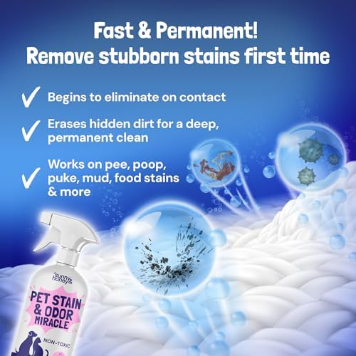 Sunny & Honey Pet Stain and Odor Remover Spray for Carpets, 32floz Lavender - Image 3