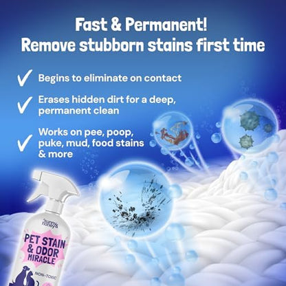 Sunny & Honey Pet Stain and Odor Remover Spray for Carpets, 32floz Lavender - Image 3