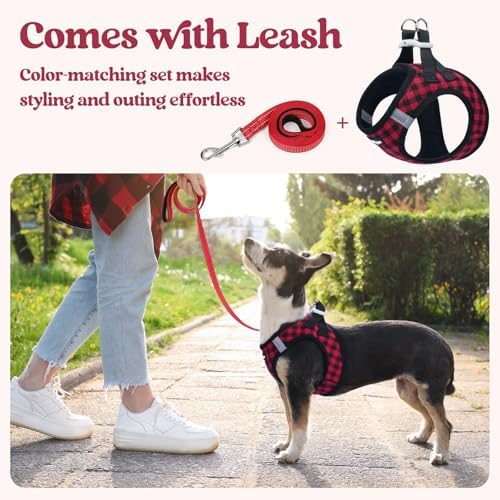rabbitgoo Dog Harness Small Sized and Leash Set, Step-in Puppy Pet Vest - Image 6