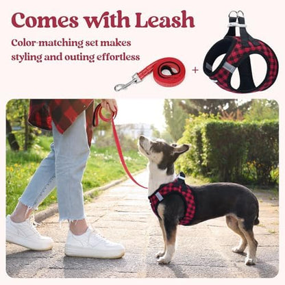 rabbitgoo Dog Harness Small Sized and Leash Set, Step-in Puppy Pet Vest - Image 6