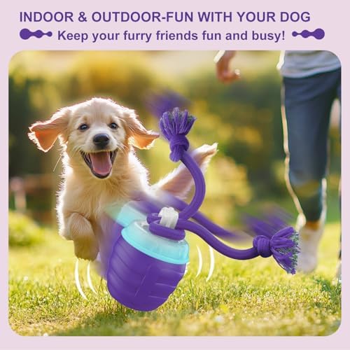 Interactive Dog Toy, [Newly Upgraded] Motion Activated Rolling Squeaky Ball for Medium/Large Dogs, Automatic Moving Dogs Ball for Boredom, USB Rechargeable(Purple) - Image 2
