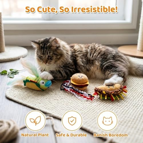 Hollypet 3 PCS Cat Feather Catnip Toys for Indoor Cats with Crinkle Ribbons - Image 7
