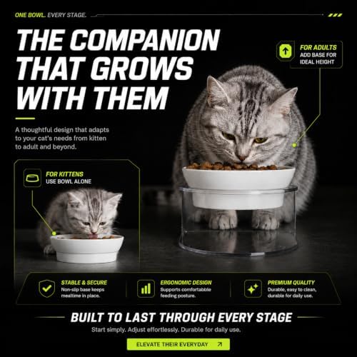 LivLab Mker Raised Cat Bowl, 15° Tilted, 4.5 in High, White - Image 2