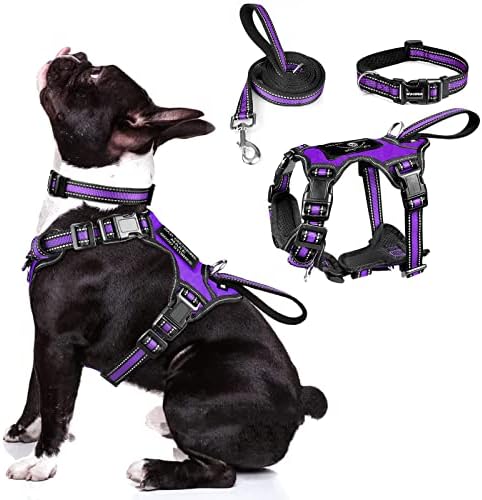 WINSEE Pet Harness Collar and Leash Set, All-in-one Reflective Dog Harness No Pull with Adjustable Buckles for Puppies, Small, Medium, Large, and Extra-Large Dogs (Medium, Purple) by WINSEE