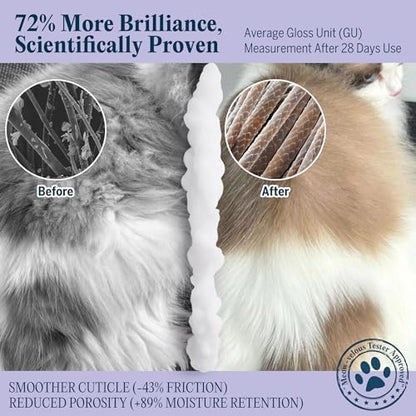 Pretty Kitty Waterless Cat Dry Shampoo with Grooming Glove– No Rinse, Lick-Safe, Moisturizing for Dry Skin, Dandruff, Deshedding, Wash Soap Spray Foam for Kittens, Bathing & Cleaning Supplies - Image 5