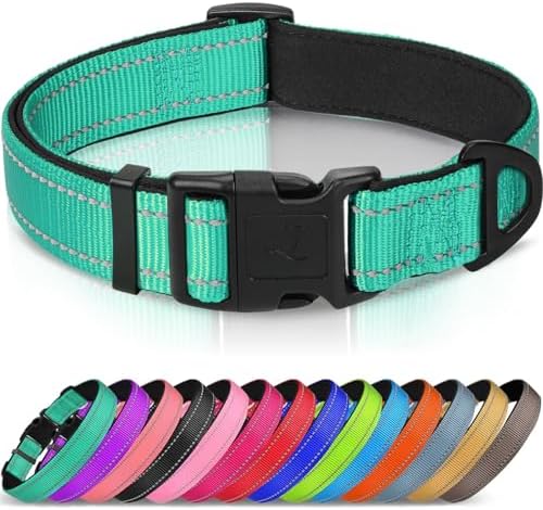 Joytale Reflective Dog Collar, Adjustable Neoprene Padded, Teal XL by Joytale