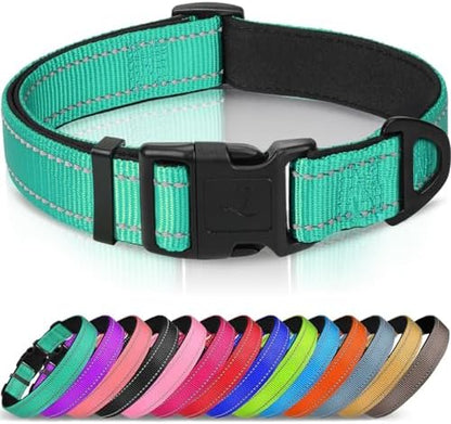 Joytale Reflective Dog Collar, Adjustable Neoprene Padded, Teal XL by Joytale