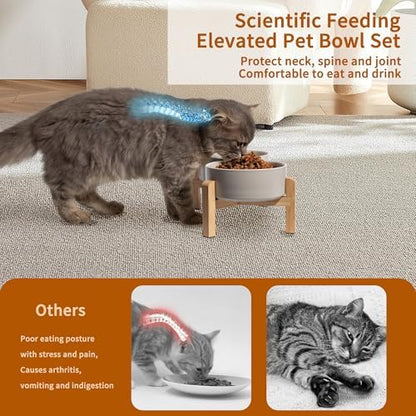 Elevated Ceramic Dog Bowl, 2 Cups Dog Food and Water Bowl Set with Stand - Image 4