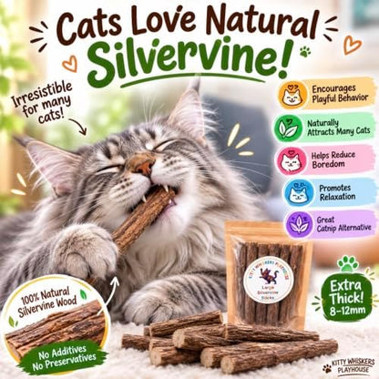 Extra Thick Silvervine Sticks for Cats, Natural Matatabi Cat Chew Sticks, 10 Pack, 8–12mm Thick, 4.75" Long, Catnip Alternative, Dental Chew Toy by Kitty Whiskers Playhouse - Image 3