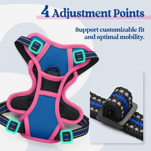 rabbitgoo Dog Harness, No Pull for Small Dogs with 2 Leash Clips, Pet Vest - Image 4