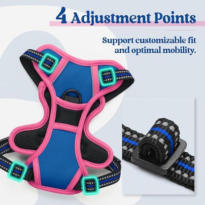 rabbitgoo Dog Harness, No Pull for Small Dogs with 2 Leash Clips, Pet Vest - Image 4
