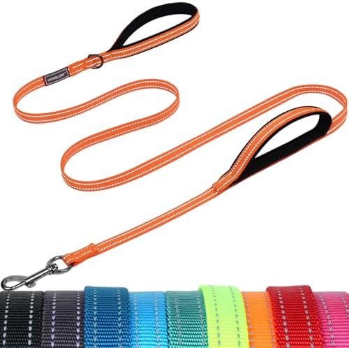 VIVAGLORY Double Handle Dog Leash Twingrip, 6ft x 1/2in, Orange by VIVAGLORY