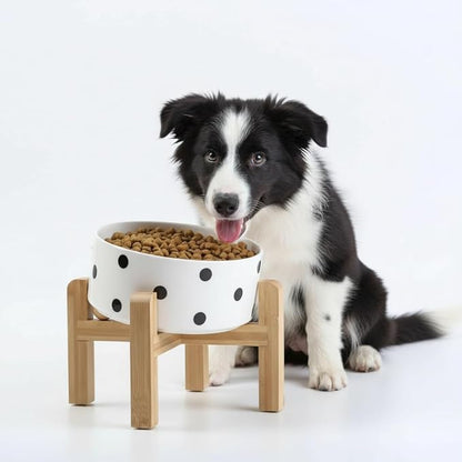 Petygooing Elevated/Raised 15°Slanted Ceramic Dog Bowl for Small and Medium Breeds, Tilted Anti Slip Pet Feeding Bowl,Food Water Dish with Stand for Cats and Dogs (28 OZ/3.6 Cups) Black Dot