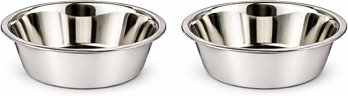 Stainless Steel Dog and Cat Bowls, Pack of 2, Replacement Bowl for Pets (14oz)