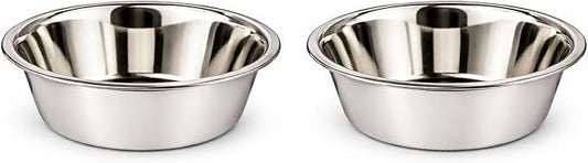 Stainless Steel Dog and Cat Bowls, Pack of 2, Replacement Bowl for Pets (14oz)