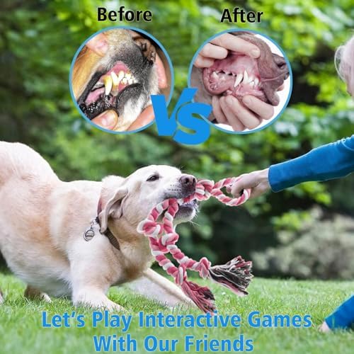 Rope Toy for Dogs，Large Dog Rope Toys for Aggressive Chewers, Heavy Duty Dog Toys for Large Medium Breed, Indestructible Tough Chew Toys Tug of War Dog Toy Cotton Rope for Teeth Cleaning - Image 3
