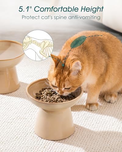 vancasso 2-Pack Extra Wide Elevated Cat Bowls, Ceramic Raised Cat Bowls - Image 5