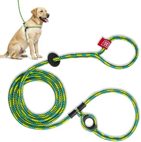 Harness Lead No Pull Dog Harness and Leash Set, Anti Pull Dog Harness, One-Piece Cushioned Rope Safely Prevents Escaping and Pulling (Medium/Large, Rainforest) by HarnessLead