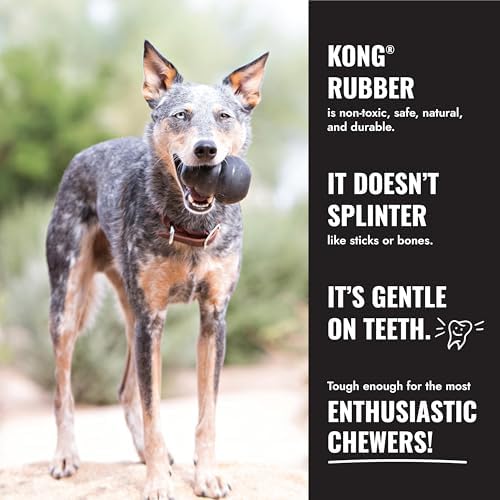 KONG Extreme Goodie Bone, Natural Rubber, Black, for Extra Large Dogs - Image 4