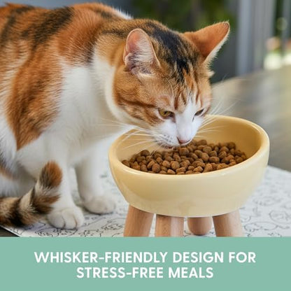 The Cat Ladies Tilted Ceramic Cat Bowl - Elevated Food Bowls Ceramic Pet Bowl - Raised Ceramics Bowls - Elevated & Tilted Design for Comfortable Eating - Dishwasher Safe - Wide Opening - Image 4