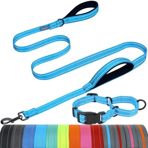VIVAGLORY Double Handle Dog Leash Twingrip, 5ft x 1in, M2, Blue by VIVAGLORY