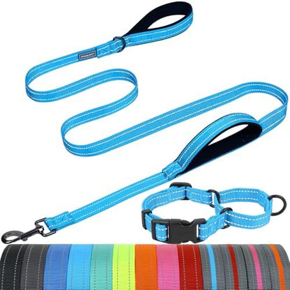 VIVAGLORY Double Handle Dog Leash Twingrip, 5ft x 1in, L, Blue by VIVAGLORY